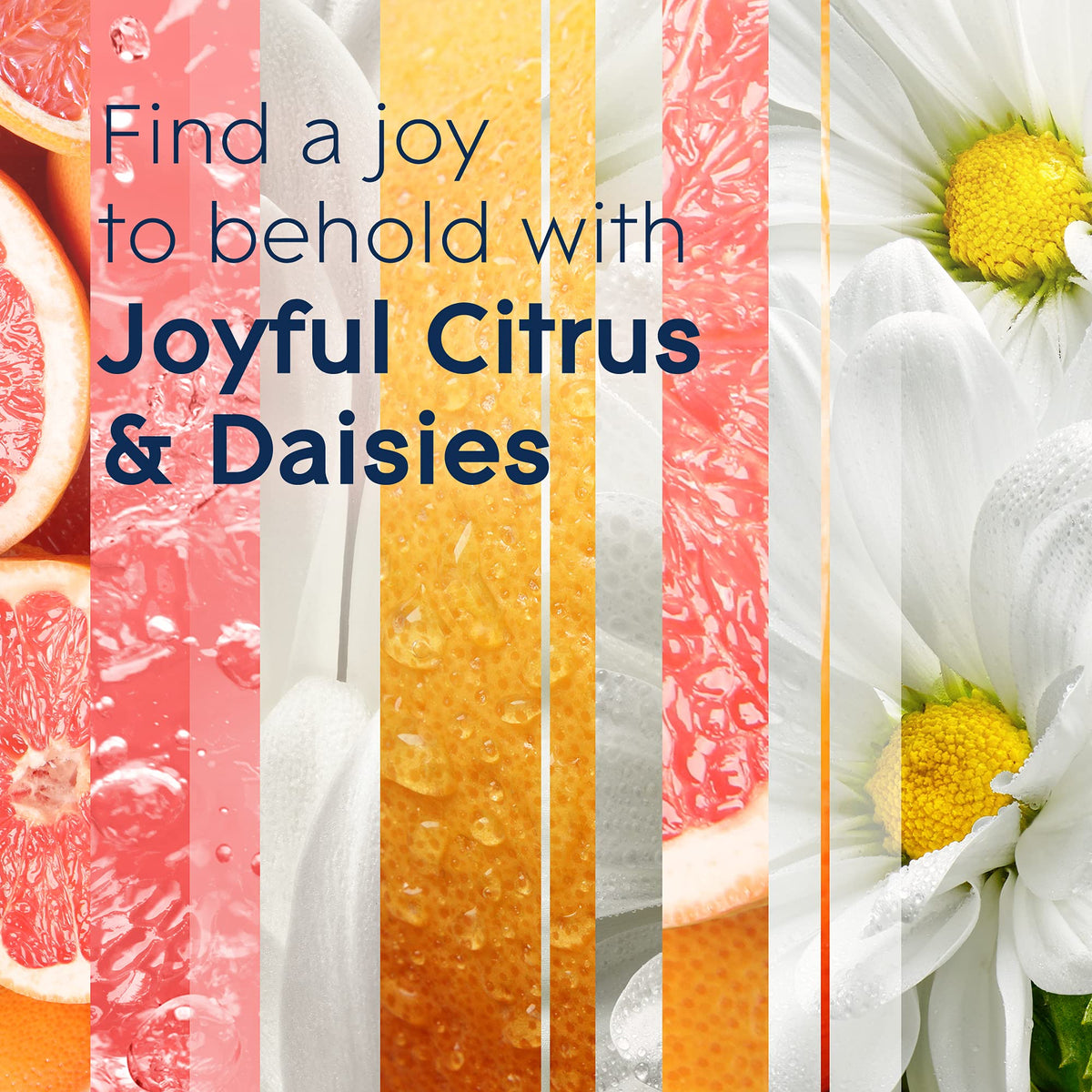 Glade Joyful Citrus & Daisies 3-Wick Candle, 6.8 Oz, 3 Count