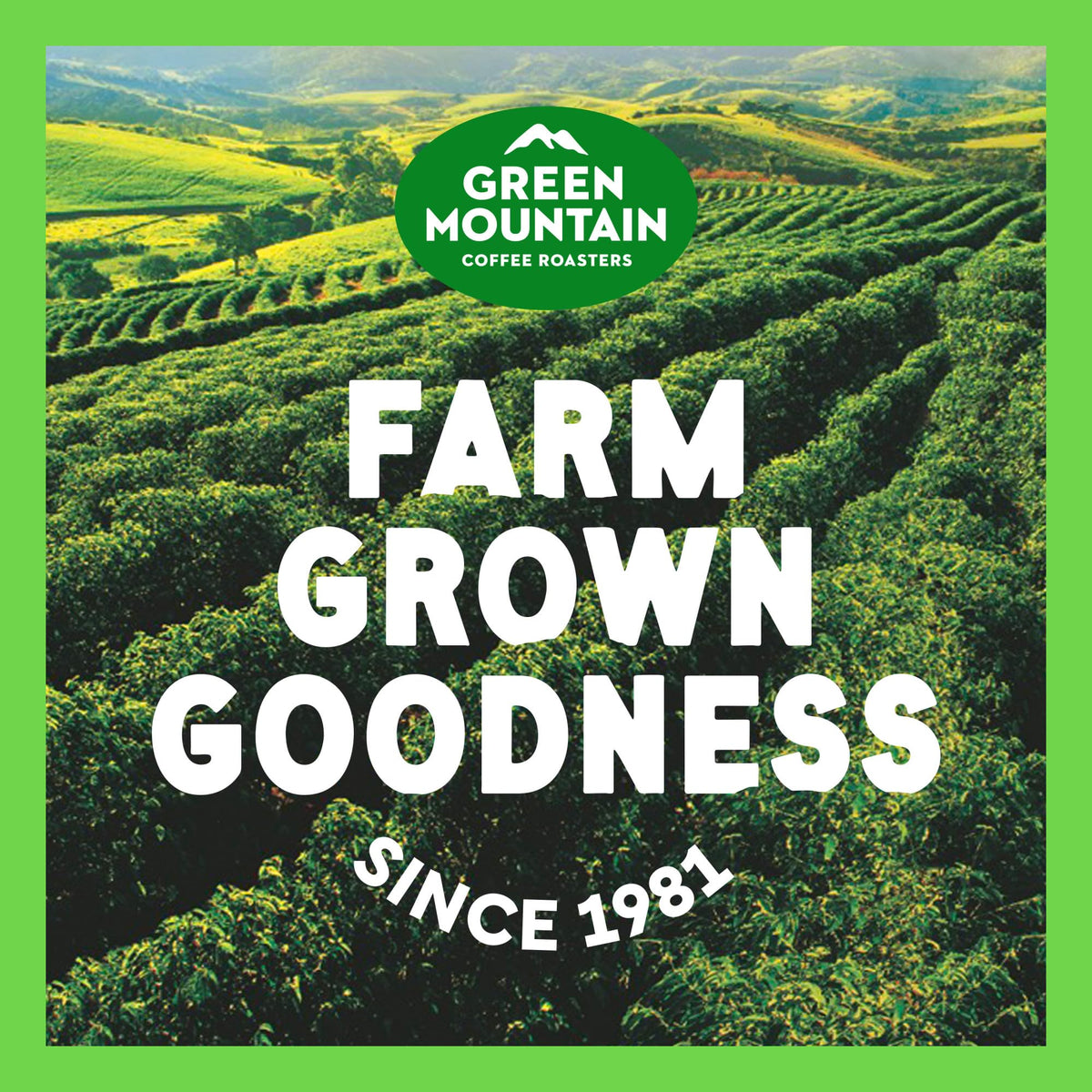Green Mountain Coffee Roasters Dark Magic, Keurig Single Serve K-Cup Pods, Dark Roast Coffee, 60 Count, (6 Packs of 10)