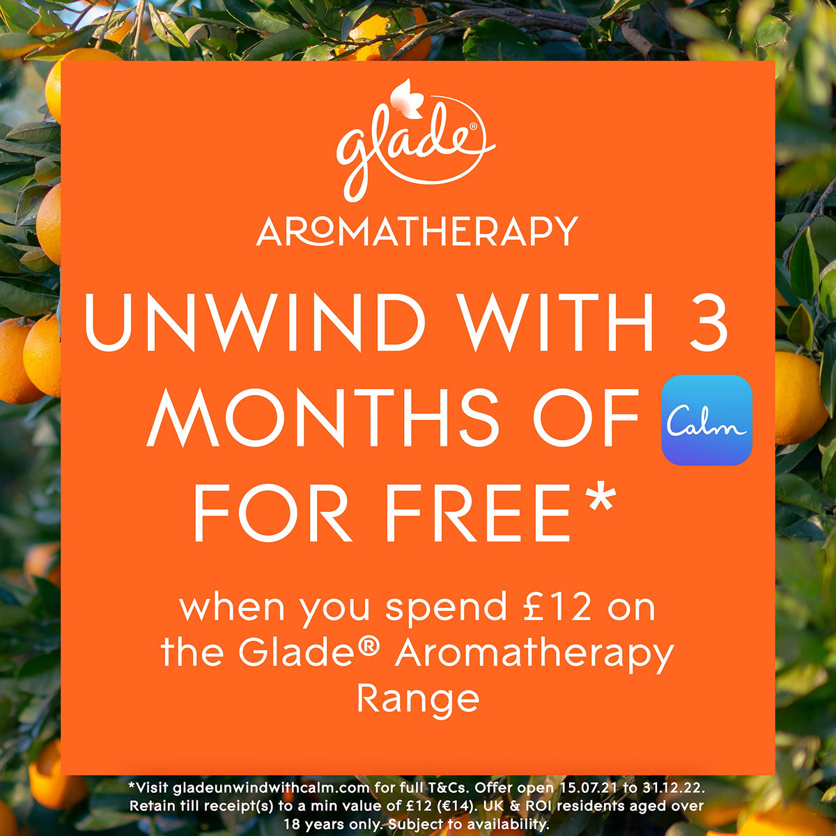 Glade Aromatherapy Essential Oil Diffuser Refill, Cool Mist Aromatherapy Diffuser & Air Freshener for Home, Pure Happiness with Orange & Neroli Scent, 17.4 ml