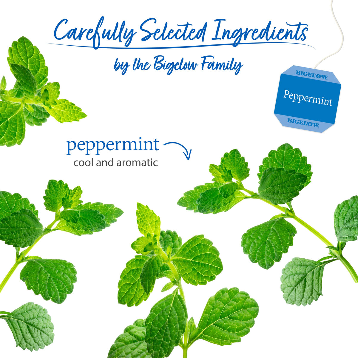Bigelow Tea Peppermint Herbal, Caffeine Free, 20 Count, Pack of 6
