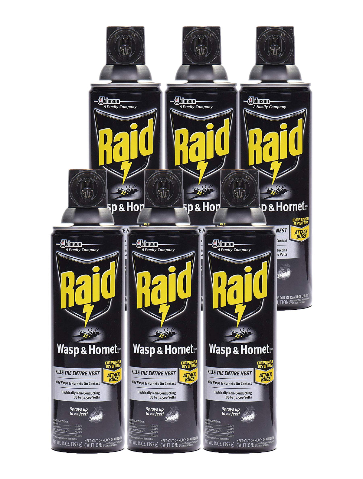 Raid Wasp Hornet Killer Spray,14 Ounce (Pack of 6)