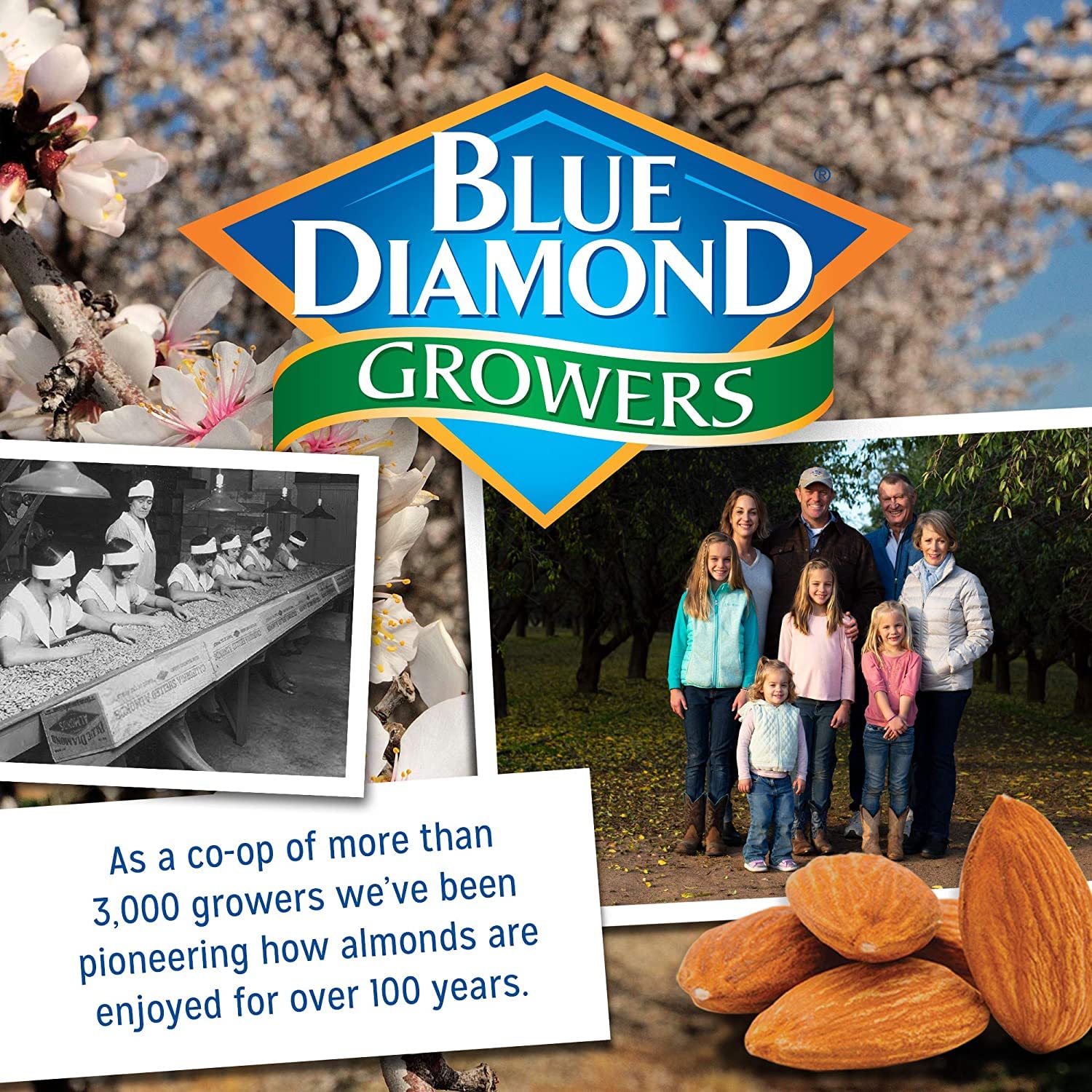 Blue Diamond Almonds Salt N' Vinegar Flavored Snack Nuts, 16 Oz Resealable Bag (Pack of 1)