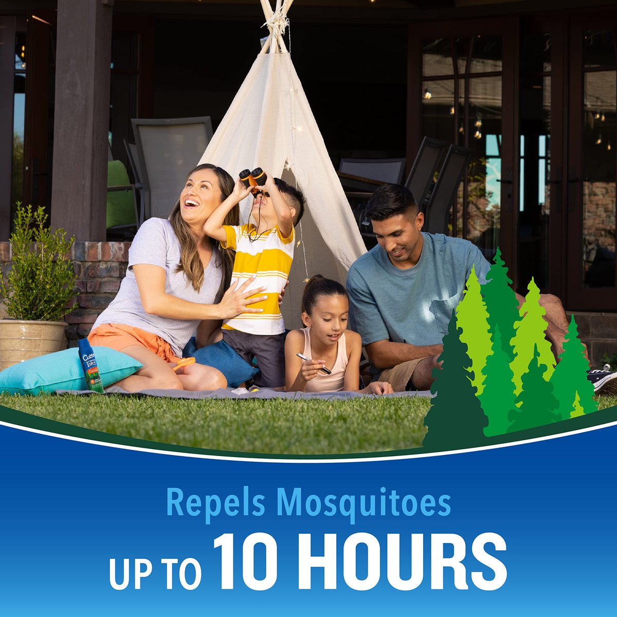 Cutter Backwoods Dry Insect Repellent, Aerosol, 4-Ounce