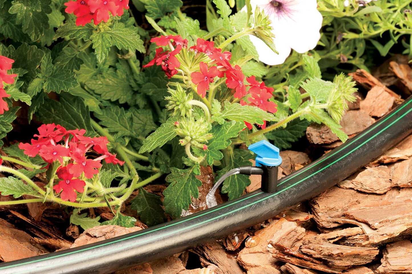 Rain Bird FE20-25SX Drip Irrigation 2 Gallon Per Hour Flag Dripper/Emitter, 25-Pack