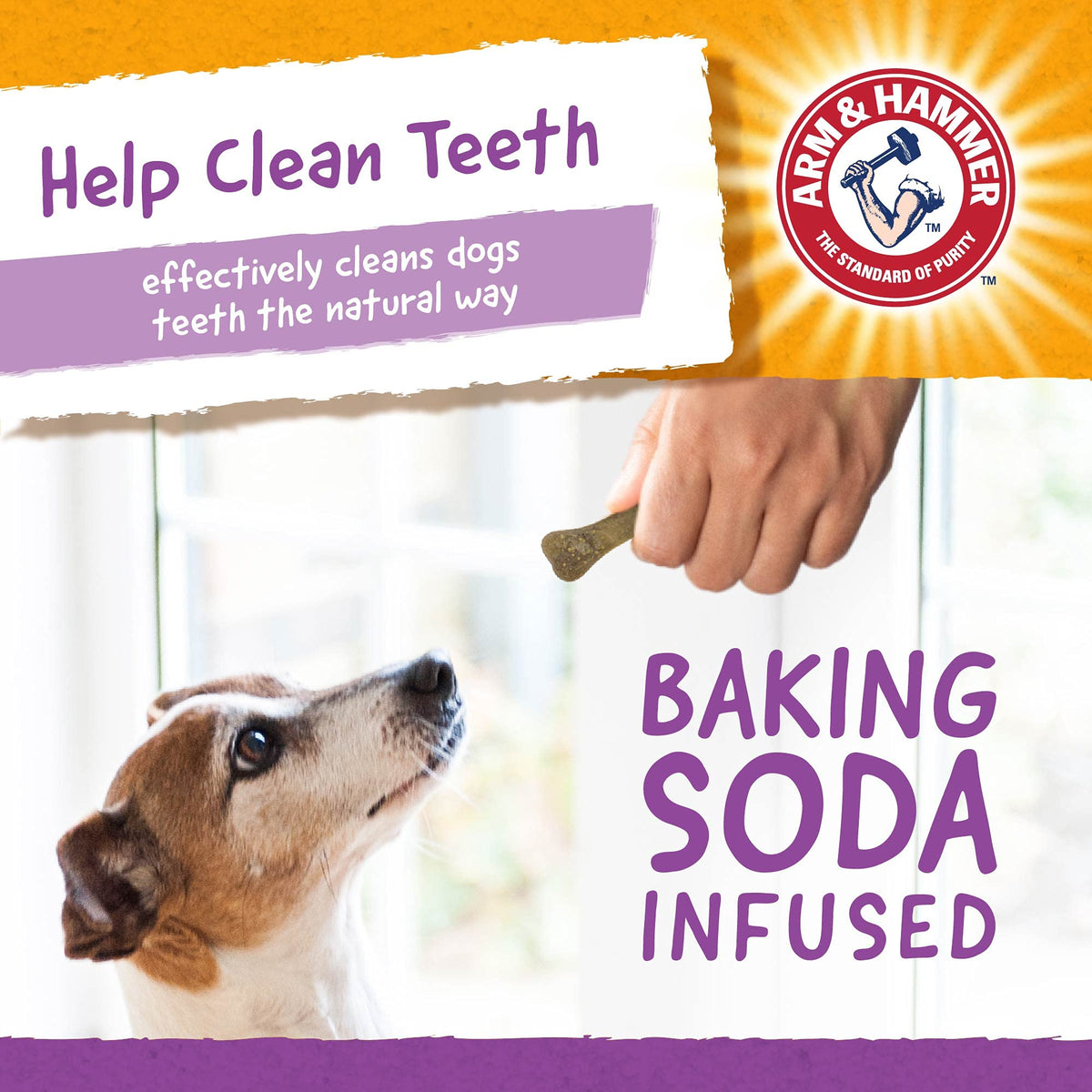 Arm & Hammer for Pets Nubbies Dental Treats for Dogs | Dental Chews Fight Bad Breath, Plaque & Tartar Without Brushing | Mint Flavor Value Bucket, 139 Pcs