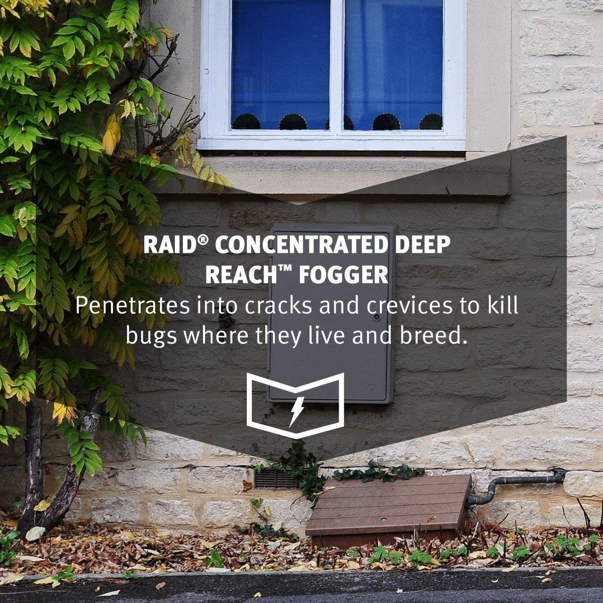 Raid Deep Reach Fogger 4.5 Ounce (Pack of 3)
