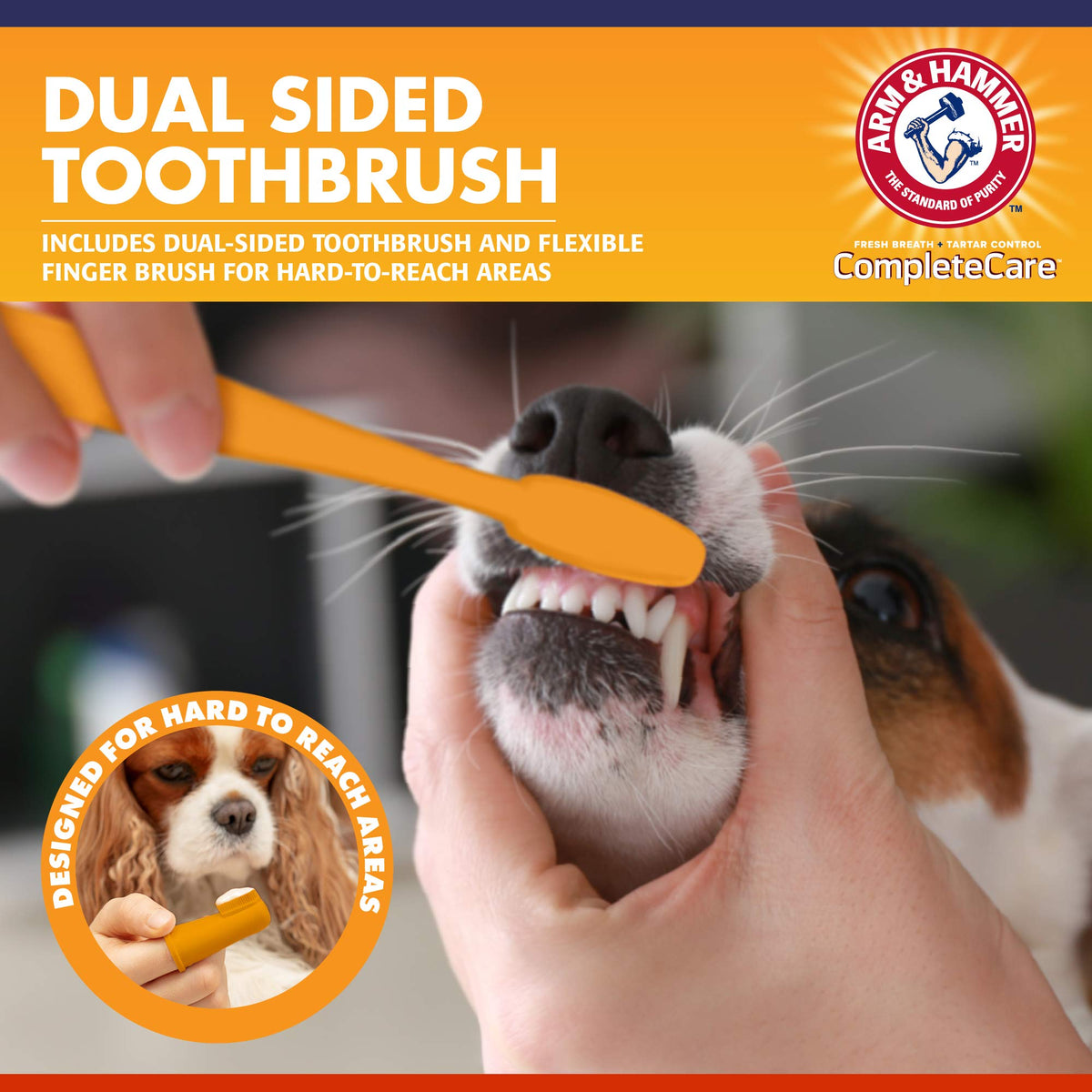 Arm & Hammer Dog Dental Kit - Enzymatic Dog Toothpaste 2.5 oz