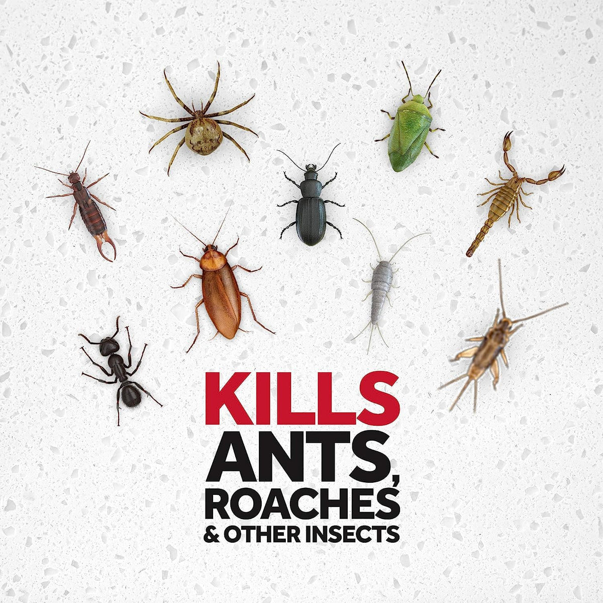 Raid Ant & Roach Killer Lavender 17.5 Ounce (Pack of 10)