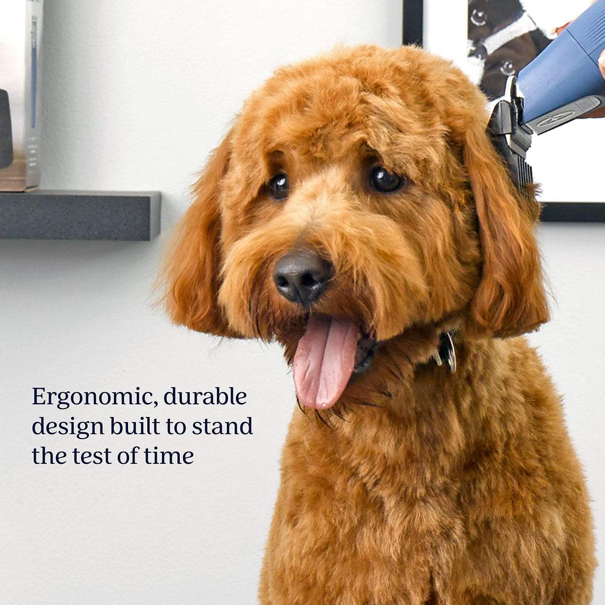 OsterÂ® Professional Fast FeedÂ® Cordless Pet Clippers, Blue for Dogs