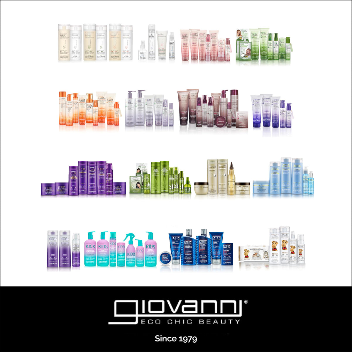 GIOVANNI 50:50 Balanced Hydrating Clarifying Shampoo - Moisturizing Shampoo for Women & Men, Gentle Cleansing for Damaged, Frizzy Hair, Salon Quality for Soft, Smooth Hair - 24 Fl Oz (Pack of 1)