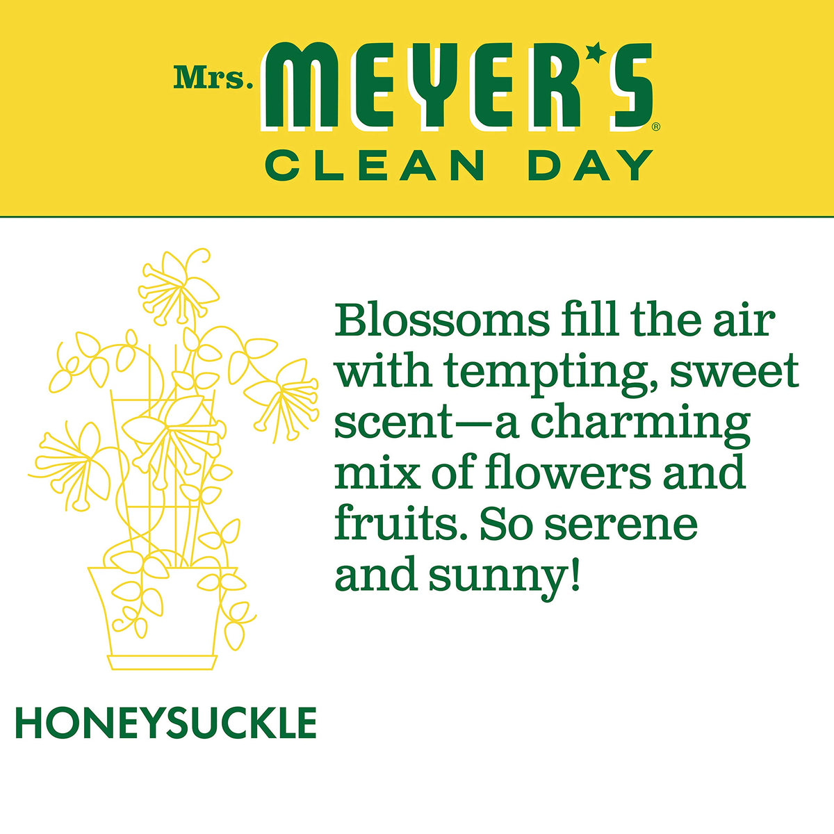 Mrs. Meyer's Hand Soap Variety, 1 Honey Suckle Refill, 1 Honey Suckle Hand Soap, 1 CT