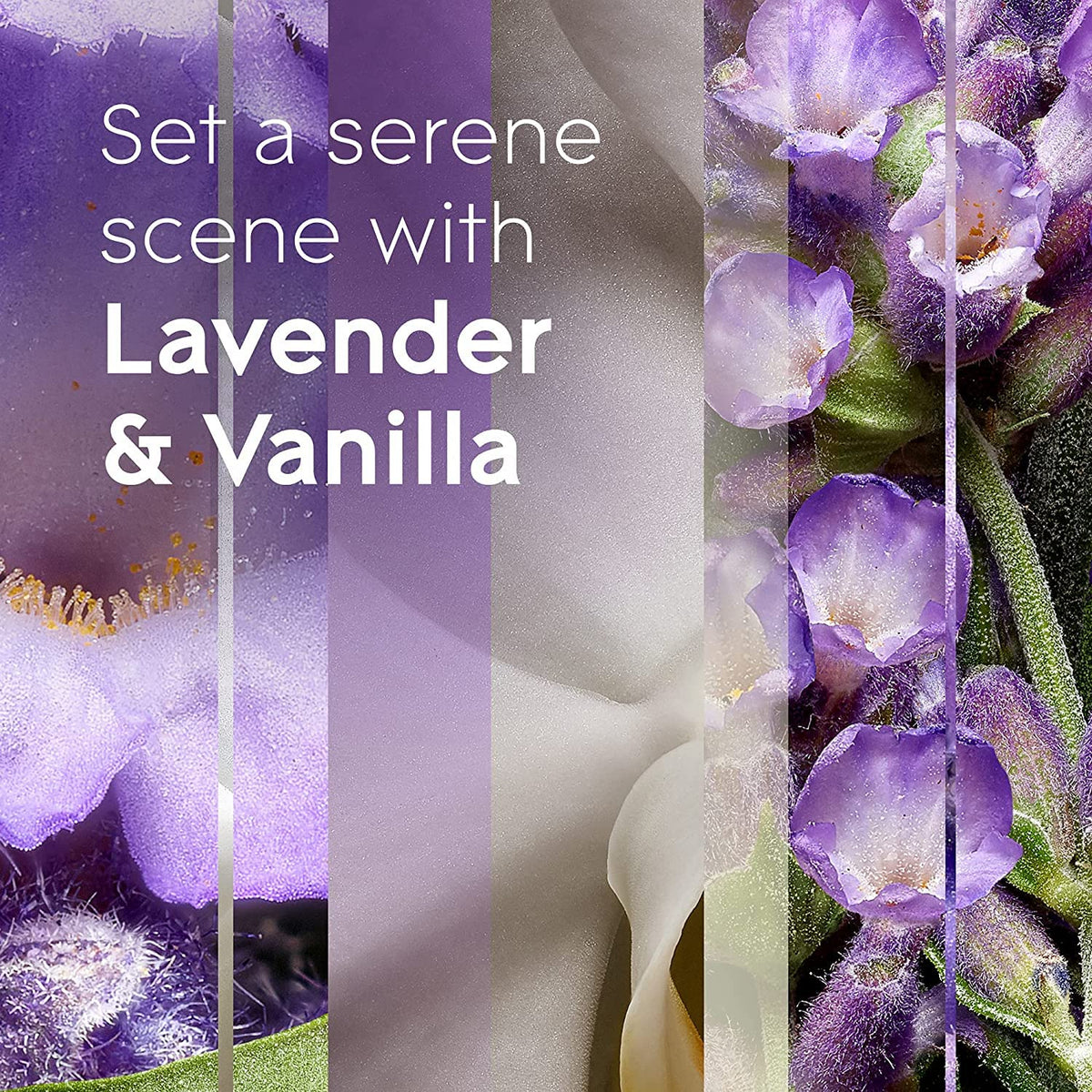 Glade Automatic Spray Refill - Lavender & Vanilla - 6.2 oz - 2 pk
