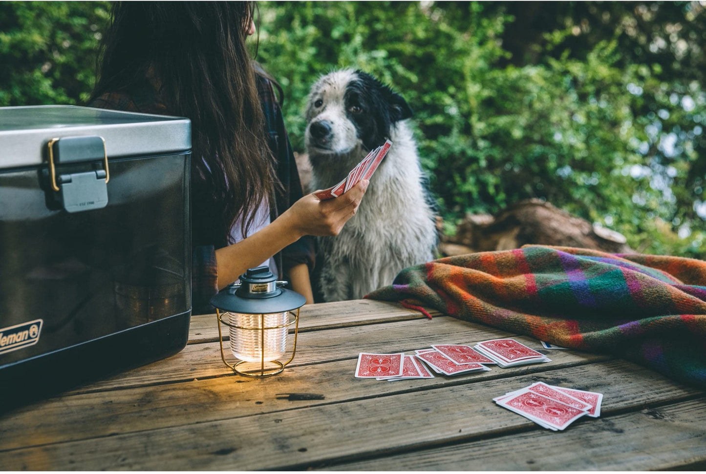 Coleman 1900 Collection 200 Lumens Premium LED Lantern, Durable Impact & Water-Resistant Lantern with Adjustable Brightness Settings & Carry Handle