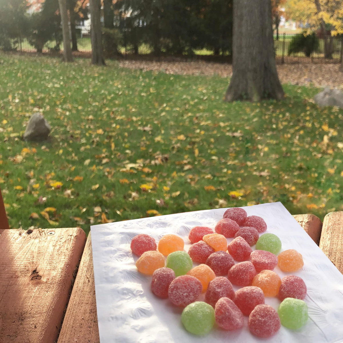 SOUR PATCH KIDS Apple Harvest Soft & Chewy Candy, Bulk Candy, 12-3.58 oz Bags