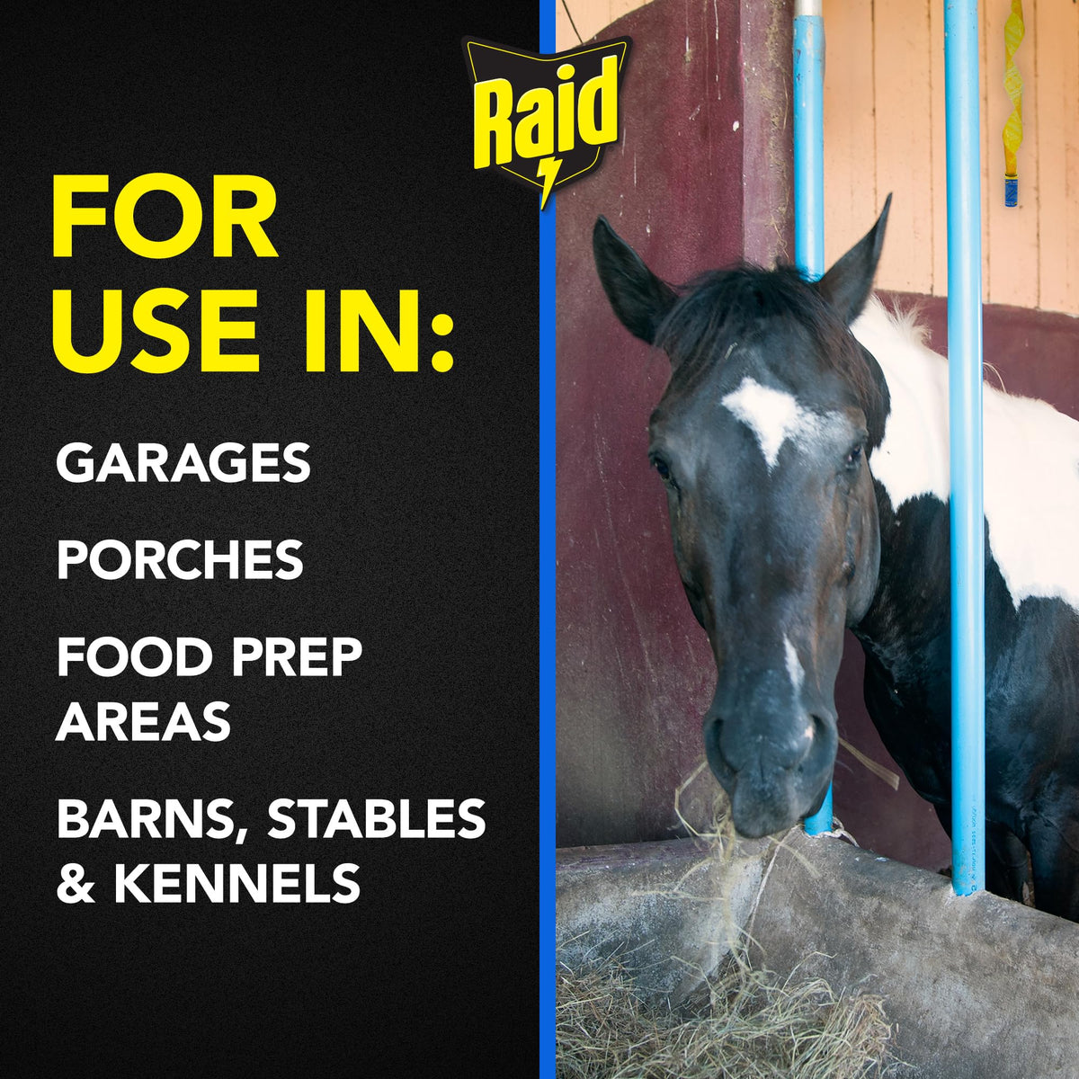 Raid FR3-RAID 4 Count Fly Catcher Ribbon (12-Pack)