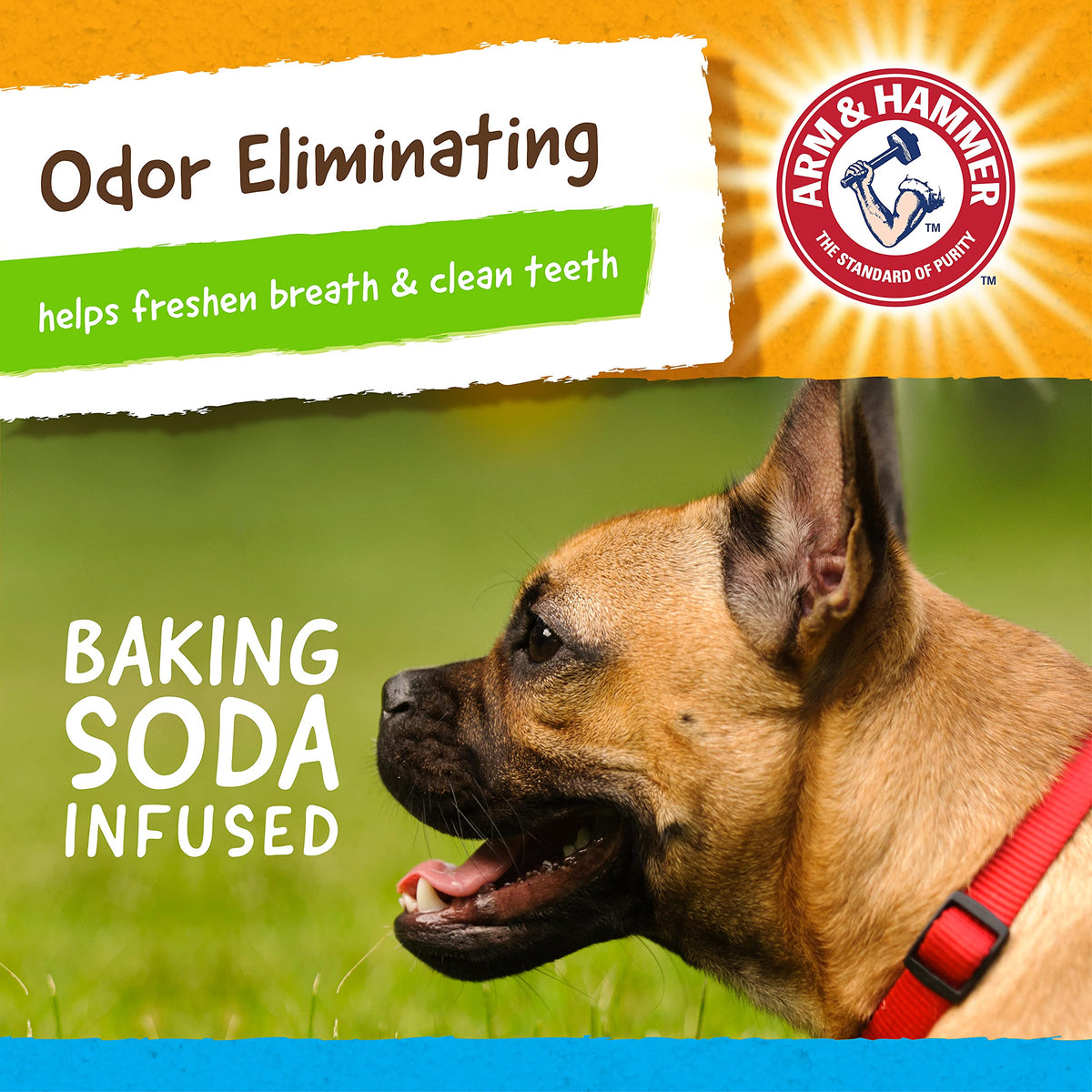 Arm & Hammer Rock N' Roller Axis Rubber Chew Toy for Dogs | Bouncing, Rolling, Chewable, Fetchable Dog Toy Made with Natural Rubber and Baking Soda to Help Redirect Destructive Chewing