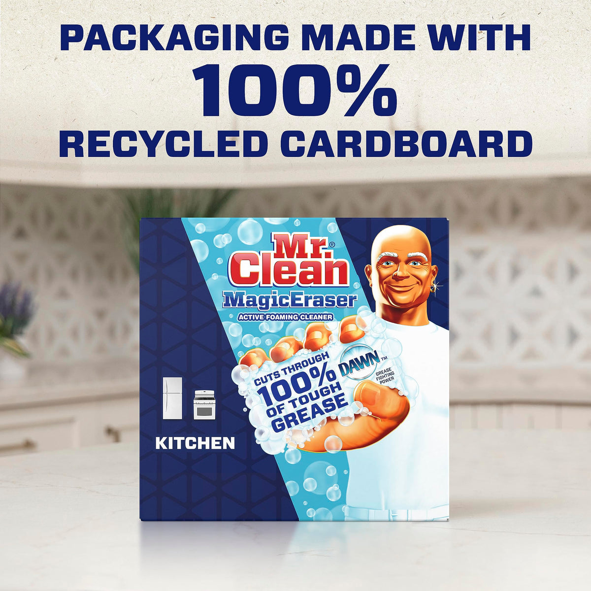 Mr. Clean 51107