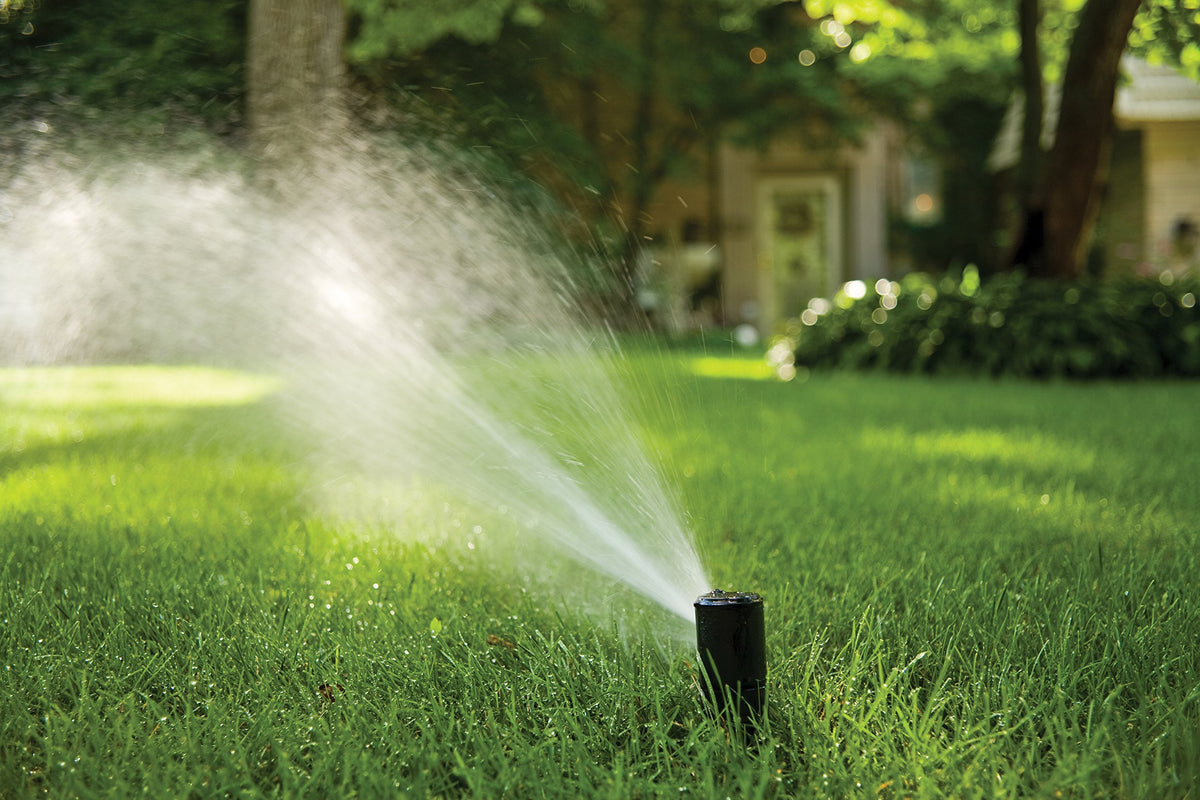 Rain Bird CP5000NP Purple Top Non-Potable Water Simple Adjust Gear Drive Rotor, Adjustable 40Â° - 360Â° Pattern, 26' - 38' Spray Distance