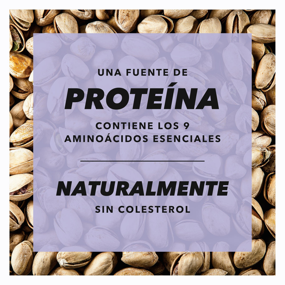 Wonderful Pistachios In Shell, Salt and Pepper Flavored Nuts, 1.25 Ounce Bag (Pack of 12), Protein Snack, On-the-Go, Individually Wrapped Healthy Snack