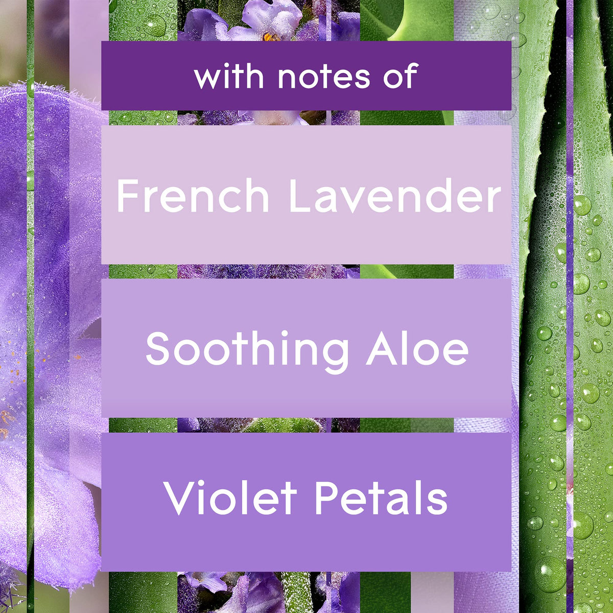 Glade Tranquil Lavender & Aloe 3-Wick Candle, 6.8 Oz, 3 Count