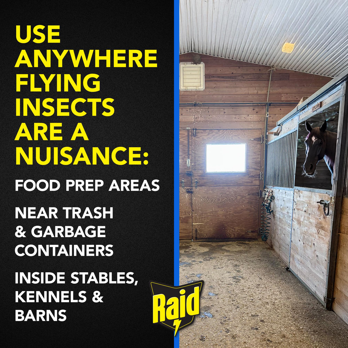 Raid Window Fly Trap, 4 Count (12-Pack)