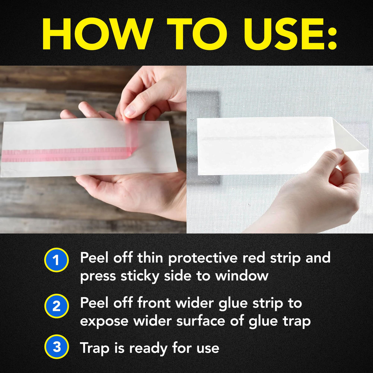 Raid Window Fly Trap, 4 Count (12-Pack)