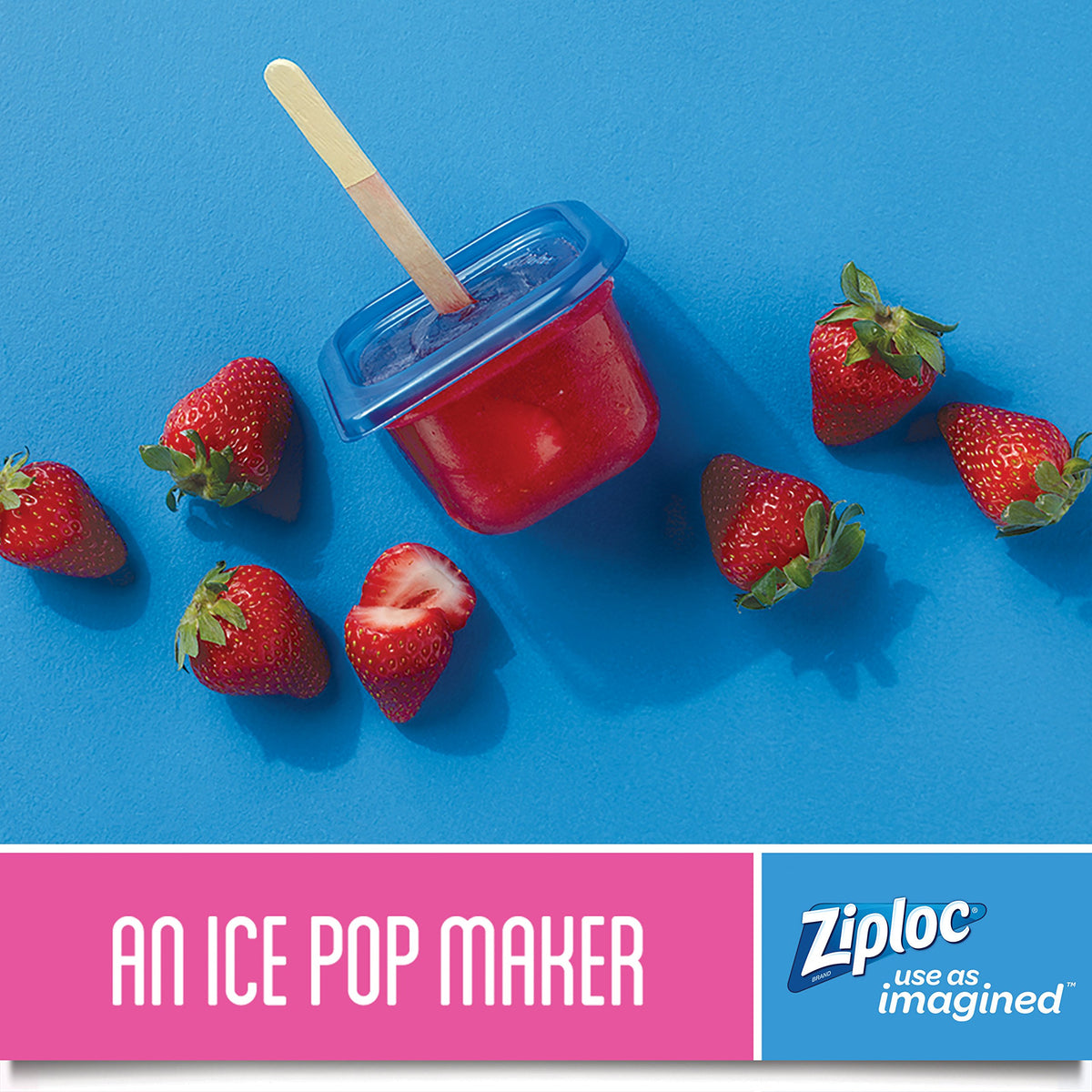 Ziploc One Press Seal Extra Small Square Container - 8 ct (Pack - 6)