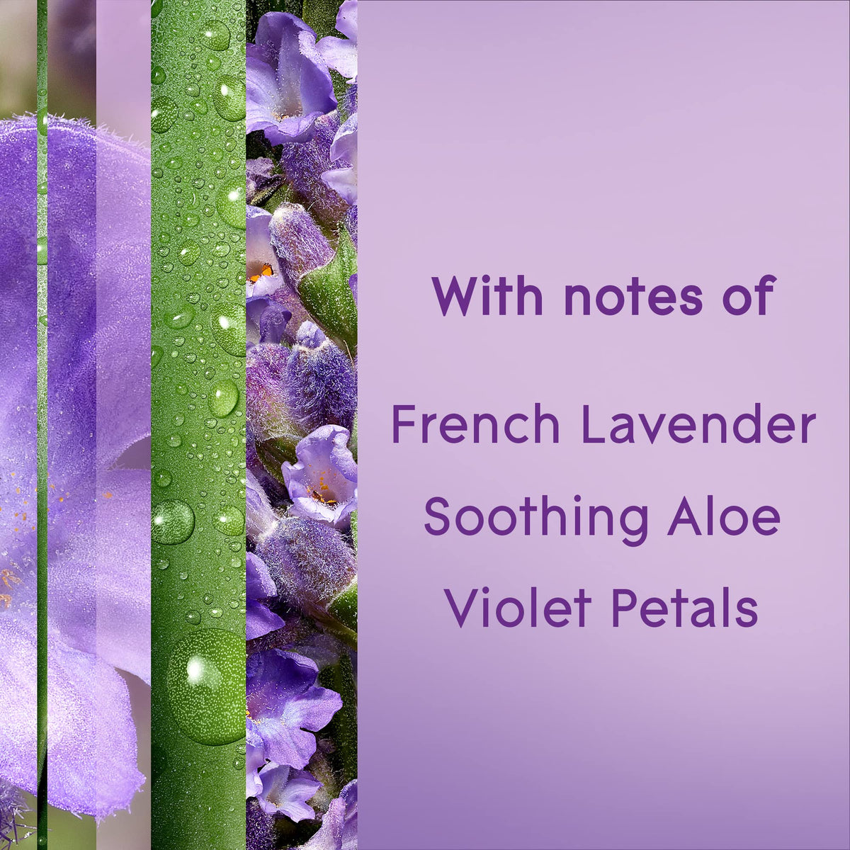 Glade Air Freshener Room Spray, Tranquil Lavender & Aloe, 8.3 oz, 6 Count