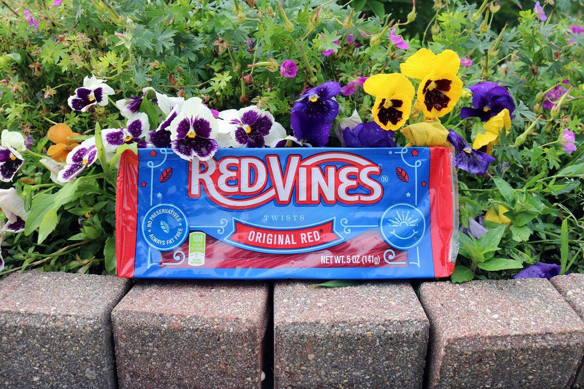 Red Vines Licorice, Original Red Flavor, Soft & Chewy Candy, 5oz Trays (12 Pack)