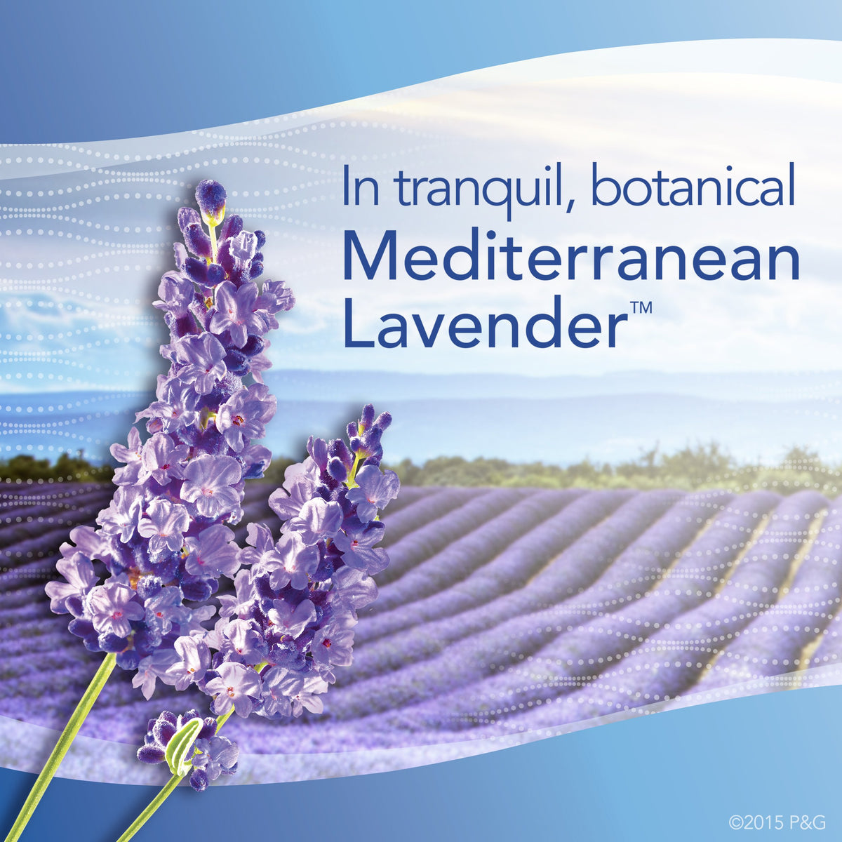 Febreze Set & Refresh - Mediterranean Lavender - Air Freshener (1/EA)
